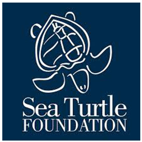 Sea Turtle Foundation